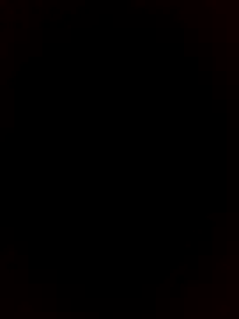 Morbosnif online show from January 15, 12:48 am