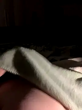 Snapshot of bfelipedasilva chatting on October 28, 1:31 am bfelipedasilva online show from October 28, 1:31 am