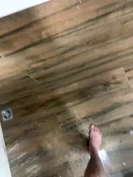 Snapshot of bfelipedasilva chatting on December 4, 9:56 pm bfelipedasilva online show from December 4, 9:56 pm