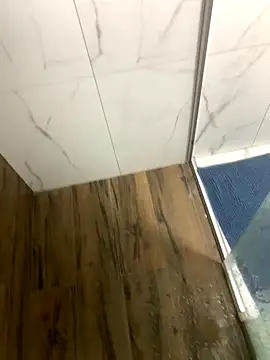 Snapshot of bfelipedasilva chatting on December 20, 9:22 pm bfelipedasilva online show from December 20, 9:22 pm