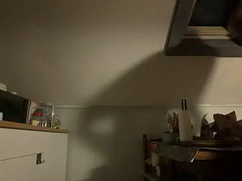 Snapshot of davi73d chatting on December 14, 3:01 am davi73d online show from December 14, 3:01 am