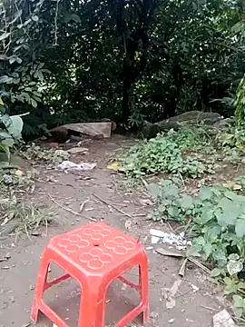 doggy-00 online show from July 24, 11:30 am