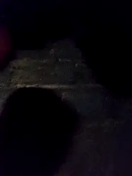 Snapshot of bella-la chatting on November 30, 11:25 am bella-la online show from November 30, 11:25 am