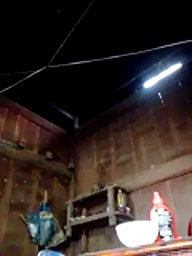 bella-la online show from March 8, 7:45 am