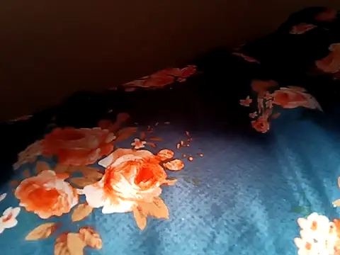 bigtelugubhama online show from February 12, 5:24 am