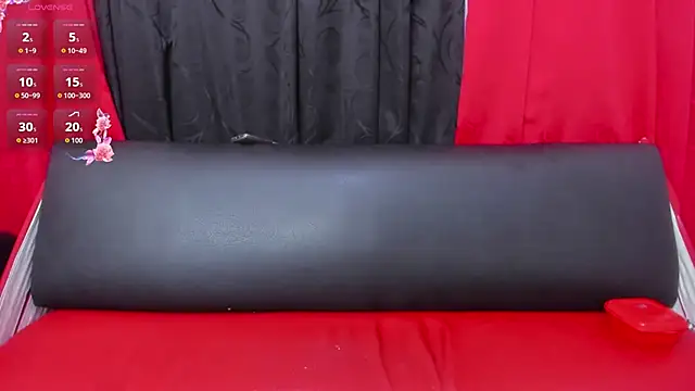 In my room anything goes online show from July 6, 4:09 am