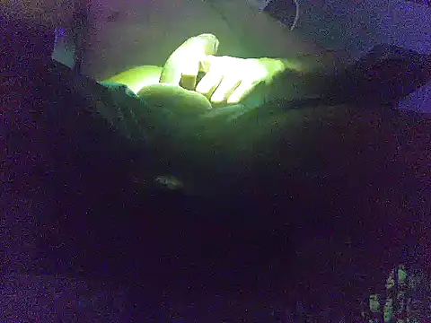 analice32456 online show from March 3, 6:52 am