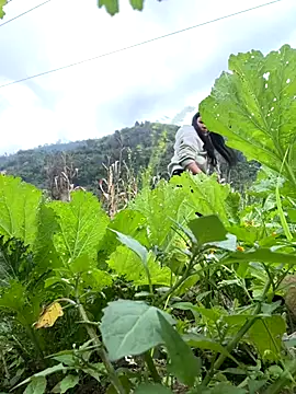 Snapshot of heodat-sexx chatting on December 17, 9:48 am heodat-sexx online show from December 17, 9:48 am