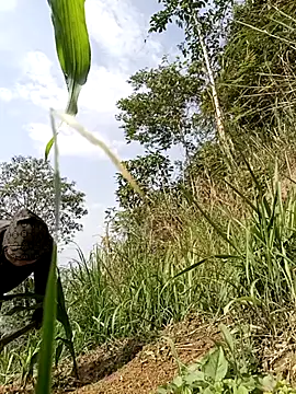 yoyo-mi online show from May 6, 8:41 am