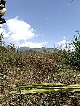 yoyo-mi online show from May 13, 3:04 am