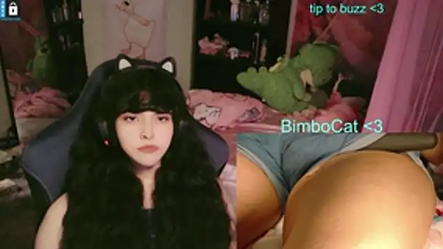 BimboCat online show from June 14, 2:35 am