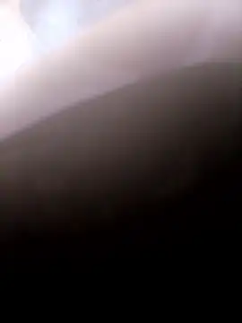 Snapshot of pino870 chatting on January 14, 9:52 pm pino870 online show from January 14, 9:52 pm