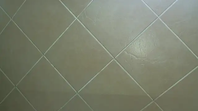 Snapshot of NewBeginnings8 chatting on December 15, 12:53 pm NewBeginnings8 online show from December 15, 12:53 pm