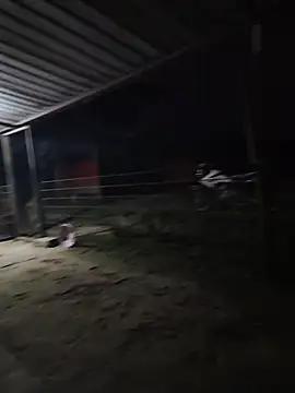 Snapshot of taylor1991V chatting on December 1, 11:43 pm taylor1991V online show from December 1, 11:43 pm