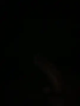 Manfredini607452 online show from February 4, 1:11 am