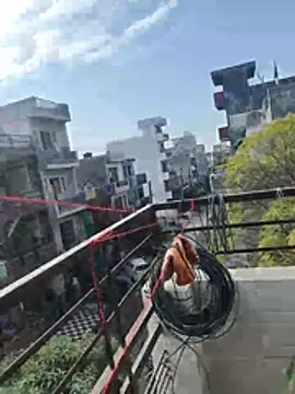 Snapshot of sexychd chatting on December 15, 4:39 am sexychd online show from December 15, 4:39 am