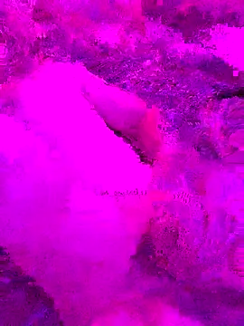 PitoDuroWuero online show from November 27, 11:34 am