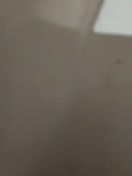 magro248 online show from November 22, 8:30 pm