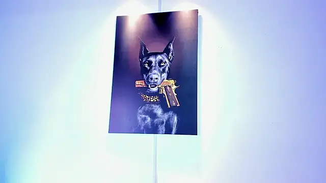 stiven 24cm online show from November 15, 8:44 am