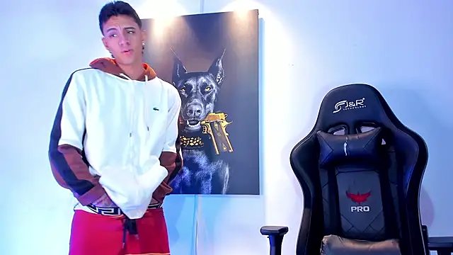 stiven 24cm online show from November 21, 7:07 am