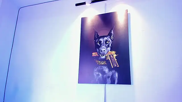 stiven 24cm online show from November 28, 7:11 am