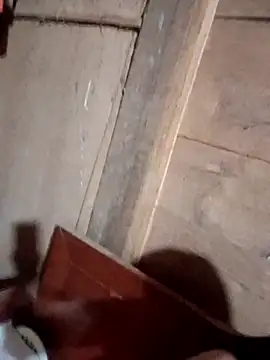 Bee-bgolden online show from November 12, 4:07 pm