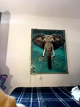 Snapshot of alisaa_jhons1 chatting on December 14, 4:56 pm alisaa jhons1 online show from December 14, 4:56 pm