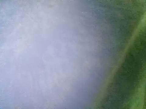 Snapshot of Ramzes1992Analog chatting on November 5, 1:05 am Ramzes1992Analog online show from November 5, 1:05 am