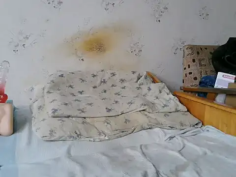 Snapshot of Kreol69 chatting on December 17, 11:49 am Kreol69 online show from December 17, 11:49 am