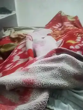 hyderabad single online show from November 23, 3:50 am