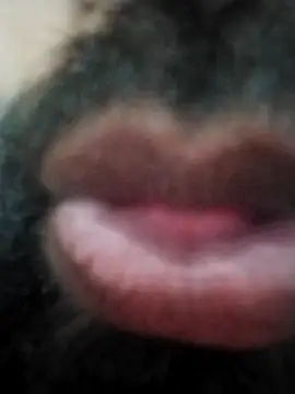 hyderabad single online show from November 24, 12:38 pm