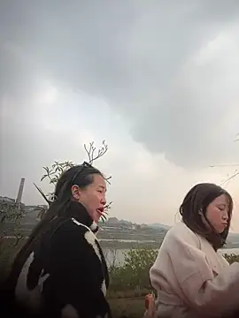 tiantiandao online show from December 1, 8:30 am