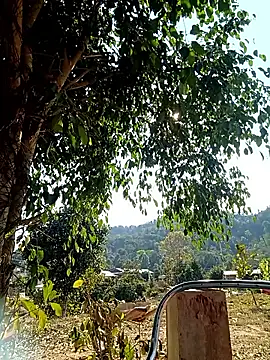 -Chua-90 online show from February 20, 8:05 am