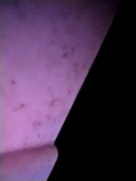 m-mbae online show from February 25, 12:53 am