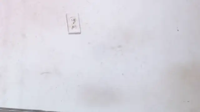 antonela-cris online show from December 20, 4:47 pm