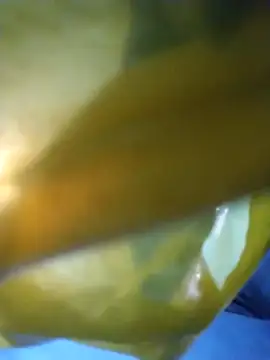 Snapshot of chim-yen chatting on November 19, 3:50 am chim-yen online show from November 19, 3:50 am