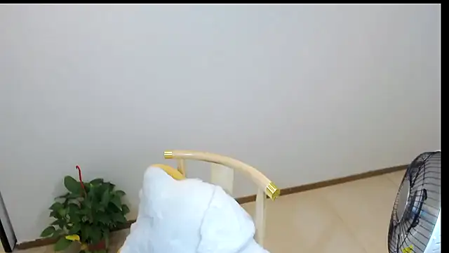 Snapshot of Shaurk chatting on February 23, 2:53 am Shaurk online show from February 23, 2:53 am