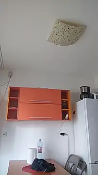 Dale E online show from January 28, 8:36 am