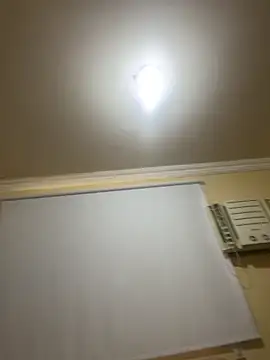 olicaroo online show from November 19, 5:35 pm