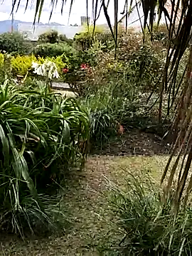 LilyMature x online show from November 27, 9:06 pm