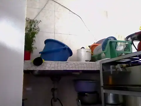 Snapshot of marcelaxxxl chatting on November 22, 11:04 pm marcelaxxxl online show from November 22, 11:04 pm