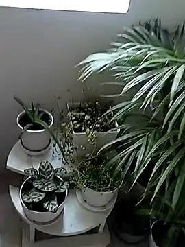 Rouse hot  online show from January 10, 6:09 pm