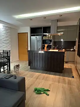 Snapshot of BelleRune chatting on January 1, 7:43 pm BelleRune online show from January 1, 7:43 pm