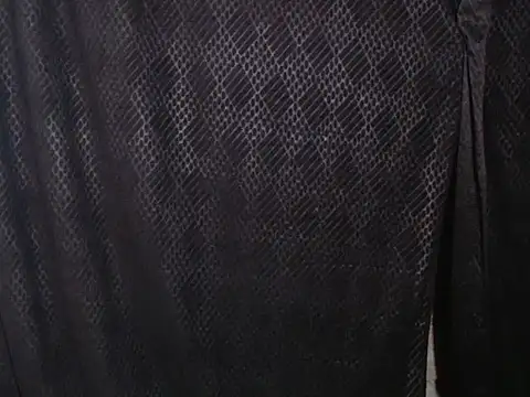 Snapshot of Queen_Bhanu chatting on January 18, 8:29 am Queen Bhanu online show from January 18, 8:29 am