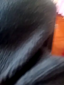 Jeison0323 online show from February 25, 8:29 pm