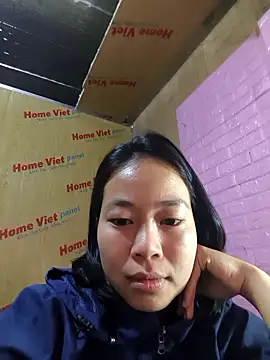 Cat-meow online show from November 17, 1:00 am