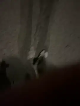 Snapshot of Pumxxxx chatting on November 30, 4:16 am Pumxxxx online show from November 30, 4:16 am