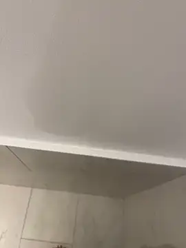 Maia0823 online show from November 21, 4:44 am