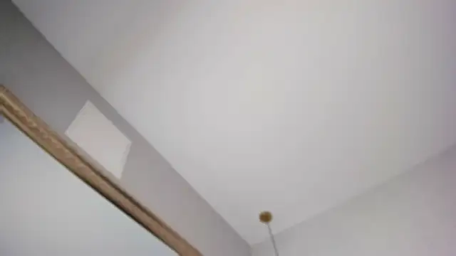 megann myers online show from February 17, 11:50 am