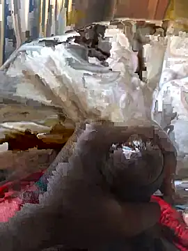 Rider2023 online show from November 26, 10:49 am